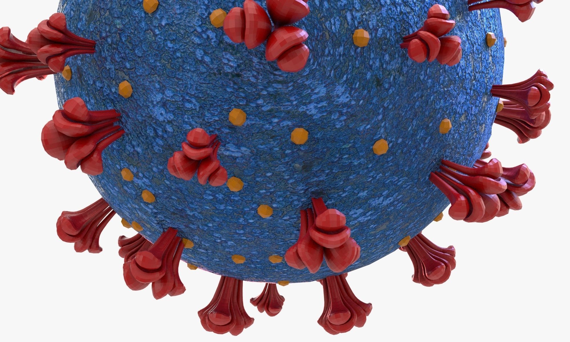 Coronavirus COVID 19 3D model_4