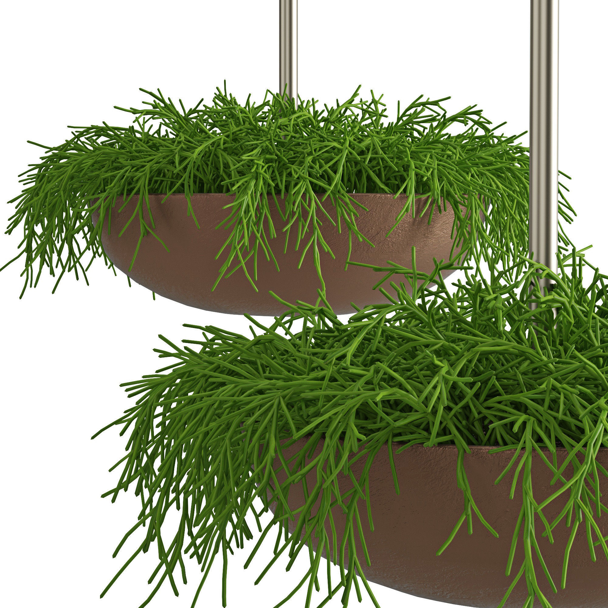Houseplant 44 3D model_5