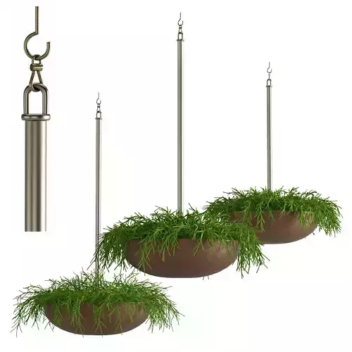 Houseplant 44 3D model