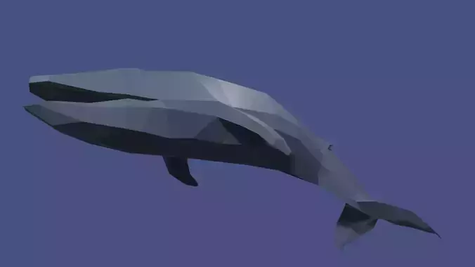 Whale