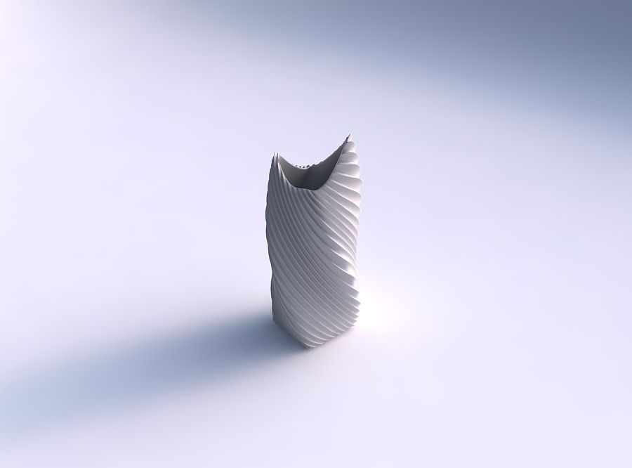 Vase twisted double arc quadratic with bent extruded lines 3 3D print model_0