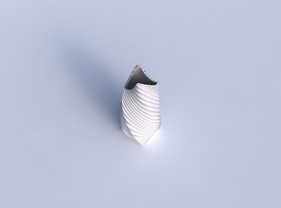 Vase twisted double arc quadratic with bent extruded lines 3 3D print model_1
