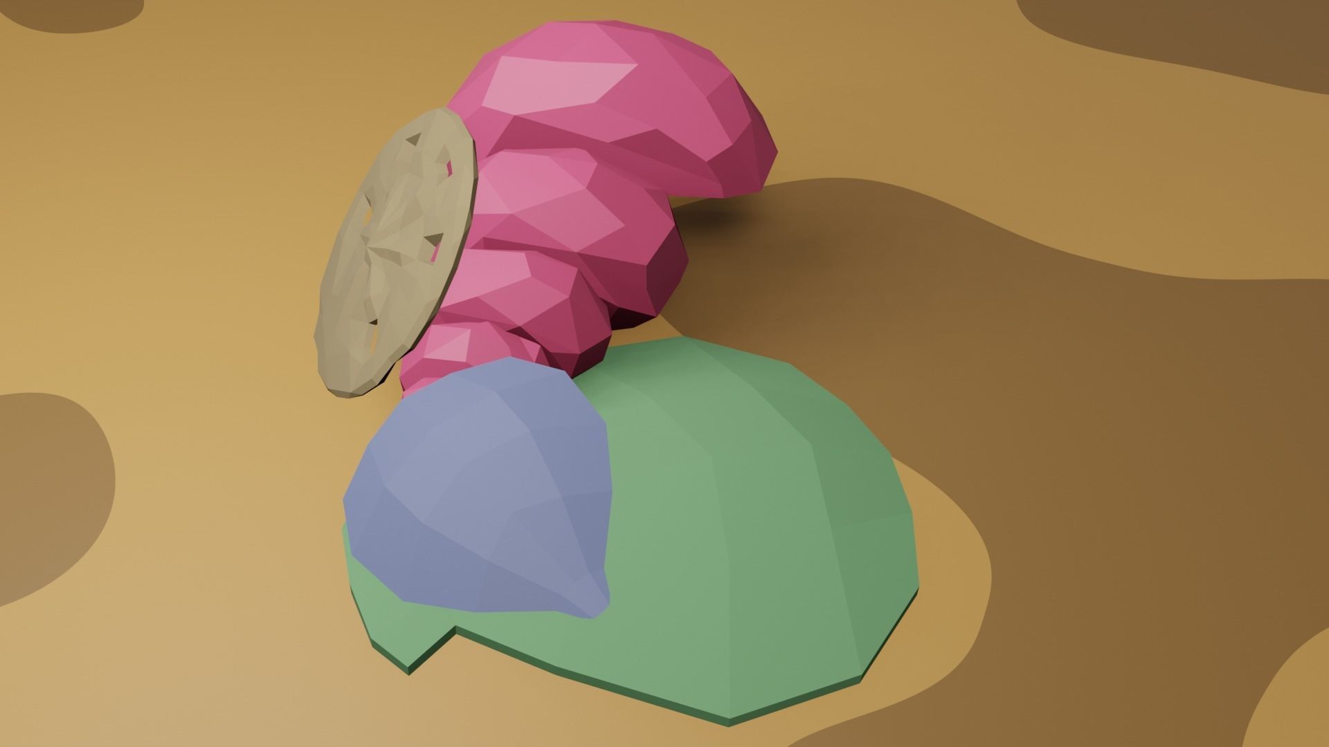 Shells set of seashells on beach Free low-poly 3D model_1