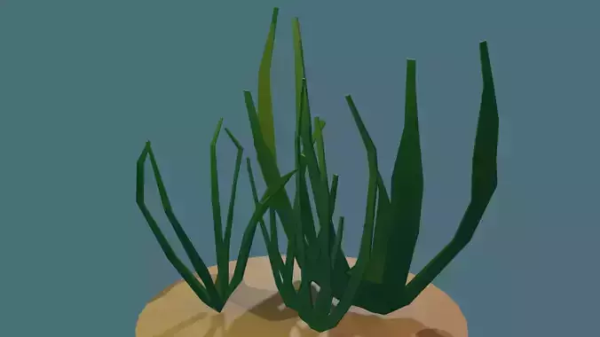 Seaweed grass in pot Free low-poly 3D model