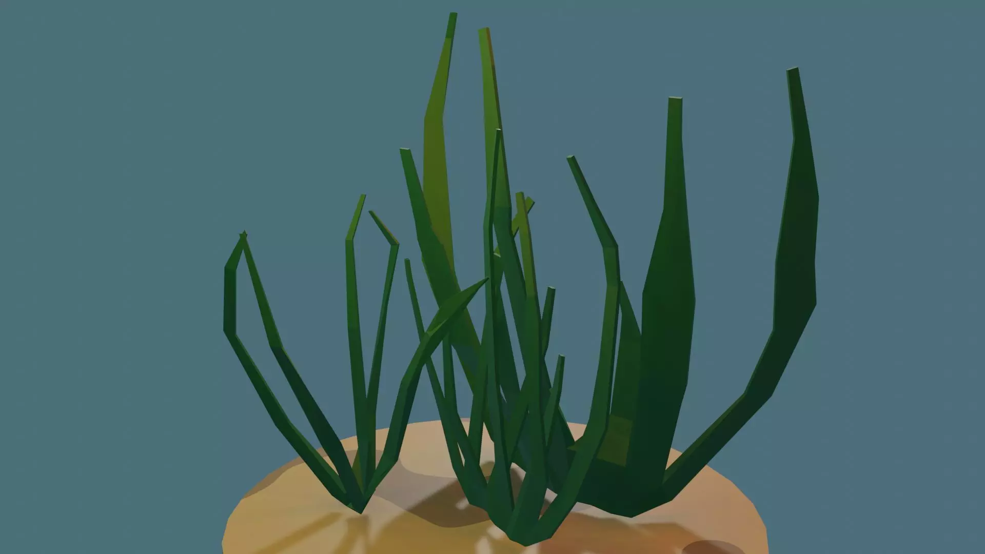 Seaweed grass in pot Free low-poly 3D model_0