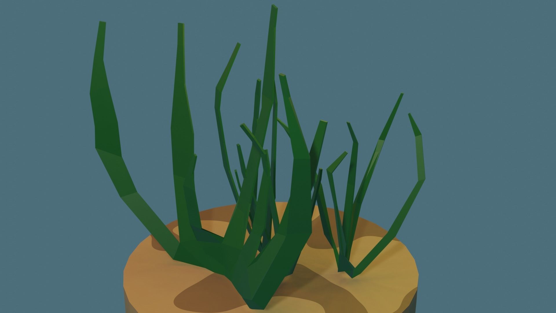 Seaweed grass in pot Free low-poly 3D model_1