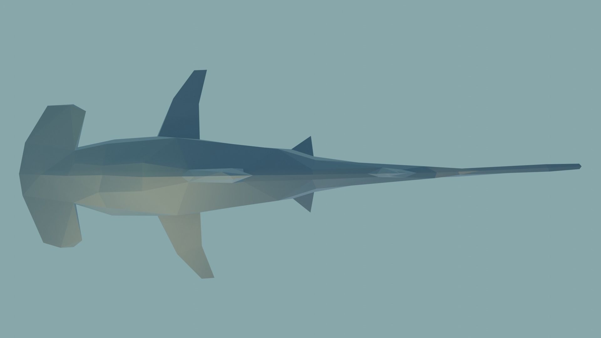 Hammerhead Shark Free low-poly 3D model_1