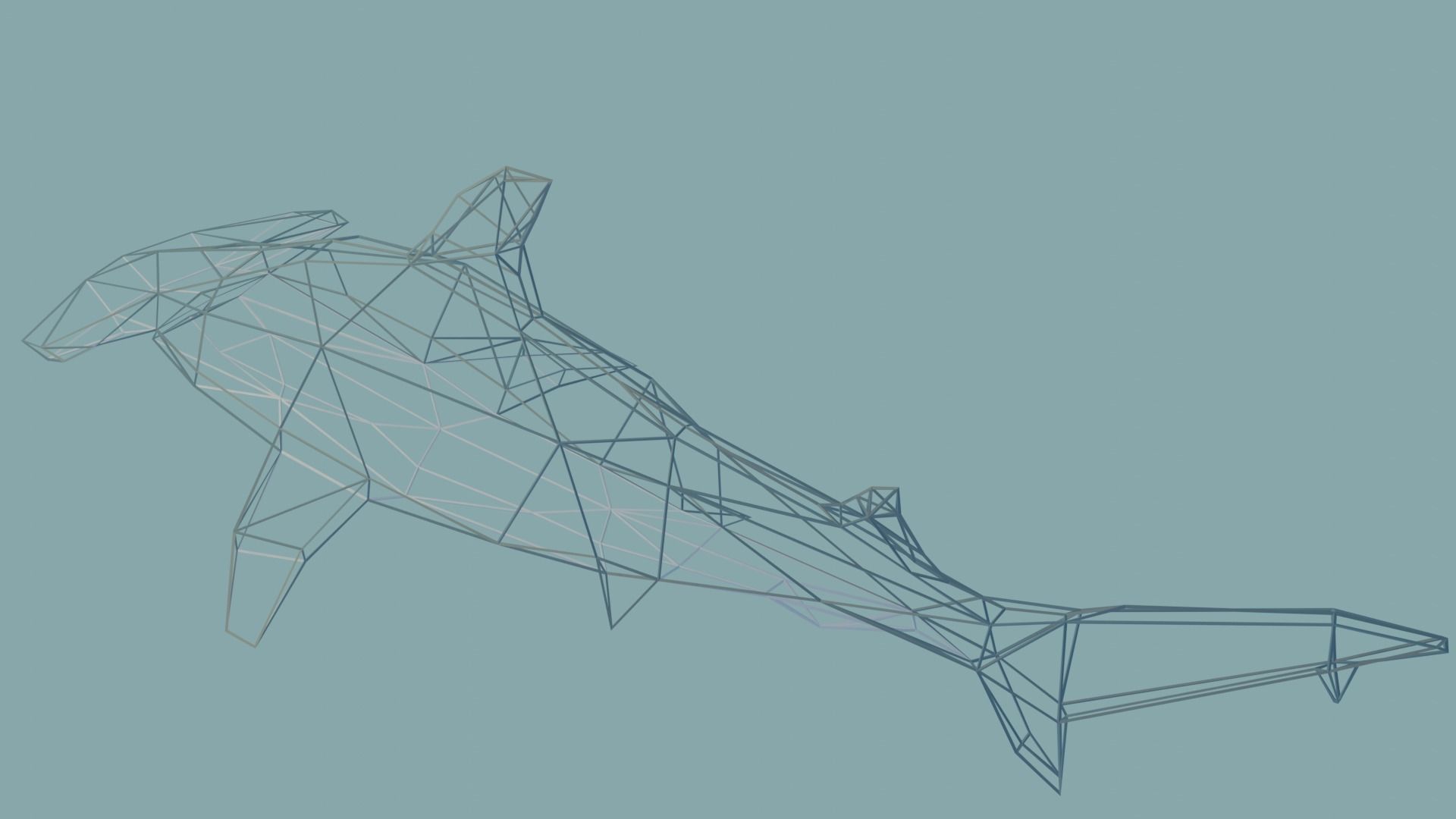 Hammerhead Shark Free low-poly 3D model_4