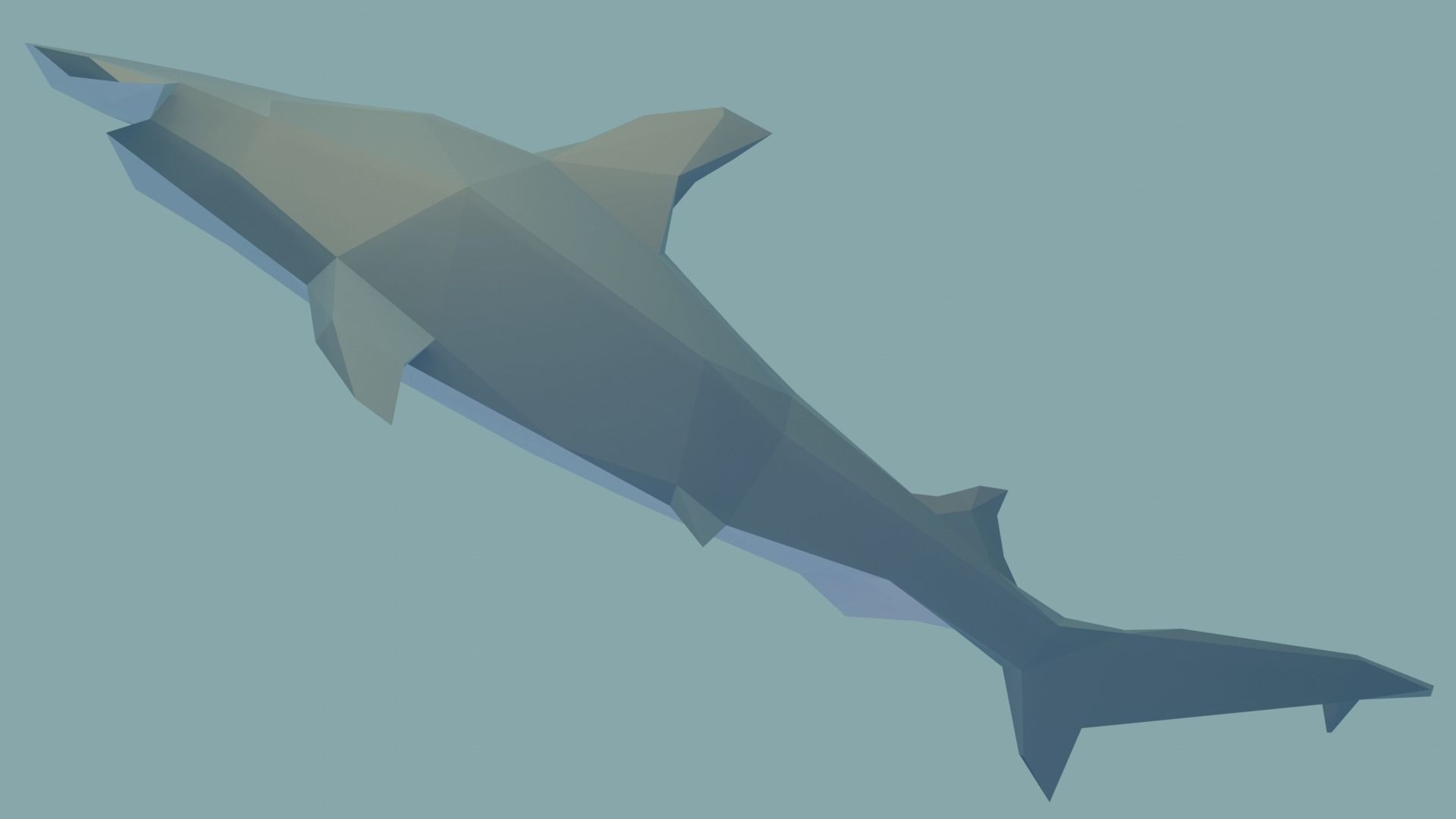 Hammerhead Shark Free low-poly 3D model_2