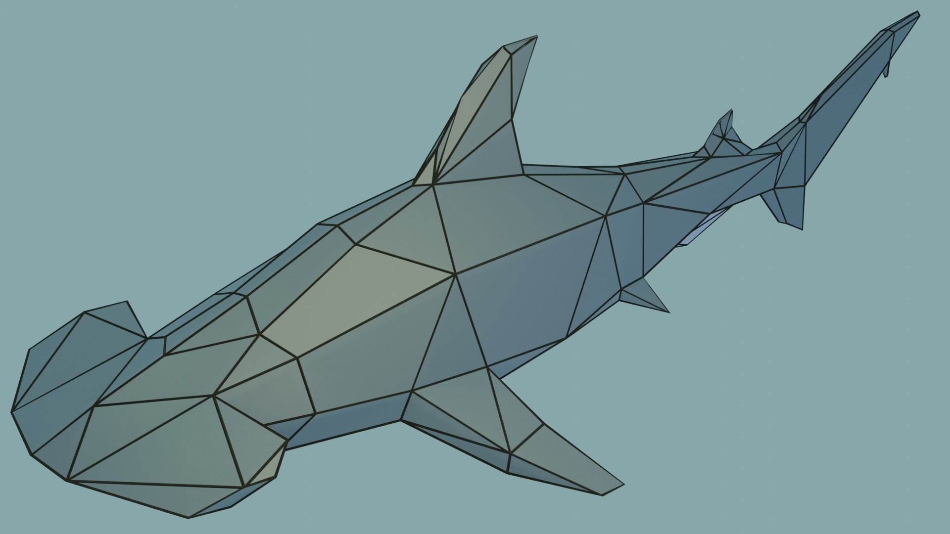 Hammerhead Shark Free low-poly 3D model_3