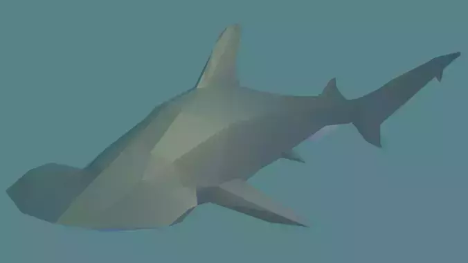 Hammerhead Shark Free low-poly 3D model