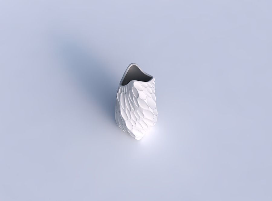 Vase twisted double arc quadratic with bubbles 3D print model_1