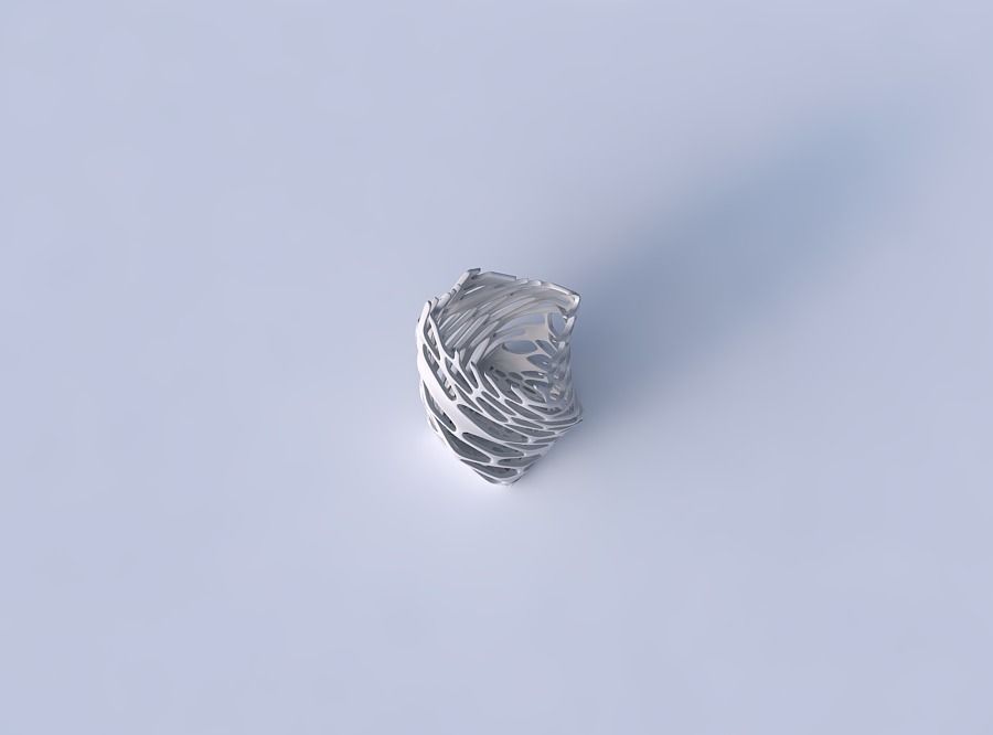 Vase twisted double arc quadratic with cracked and twisted or... 3D print model_2