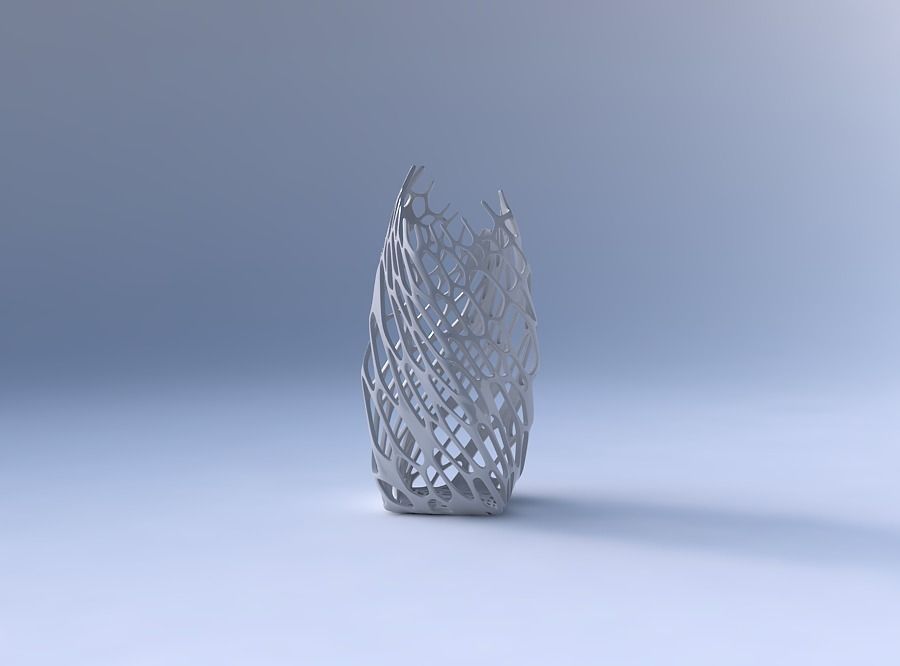 Vase twisted double arc quadratic with cracked and twisted or... 3D print model_4