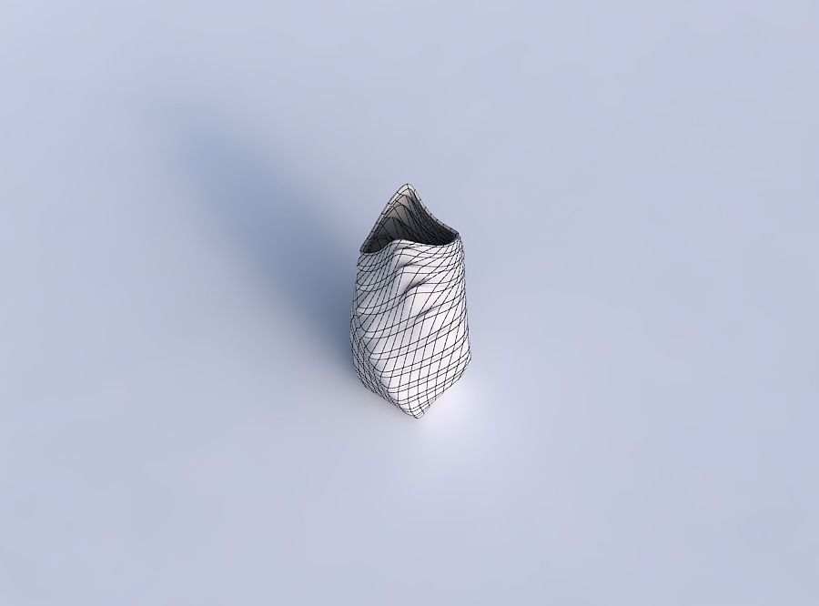 Vase twisted double arc quadratic with curved horizontal sect... 3D print model_6