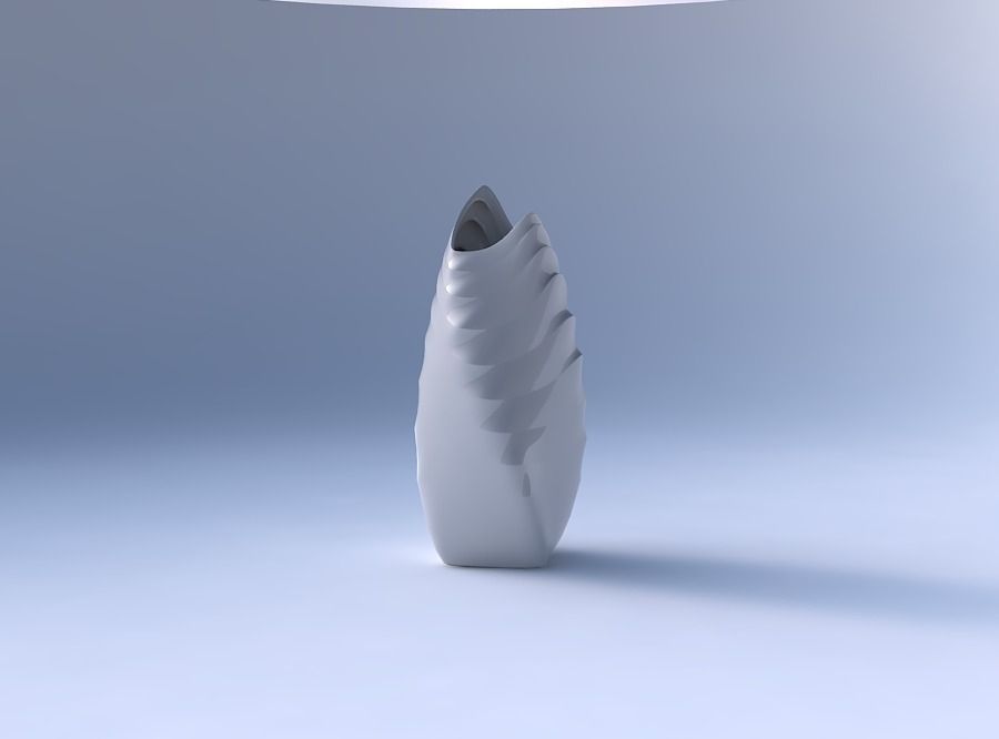 Vase twisted double arc quadratic with curved horizontal sect... 3D print model_4