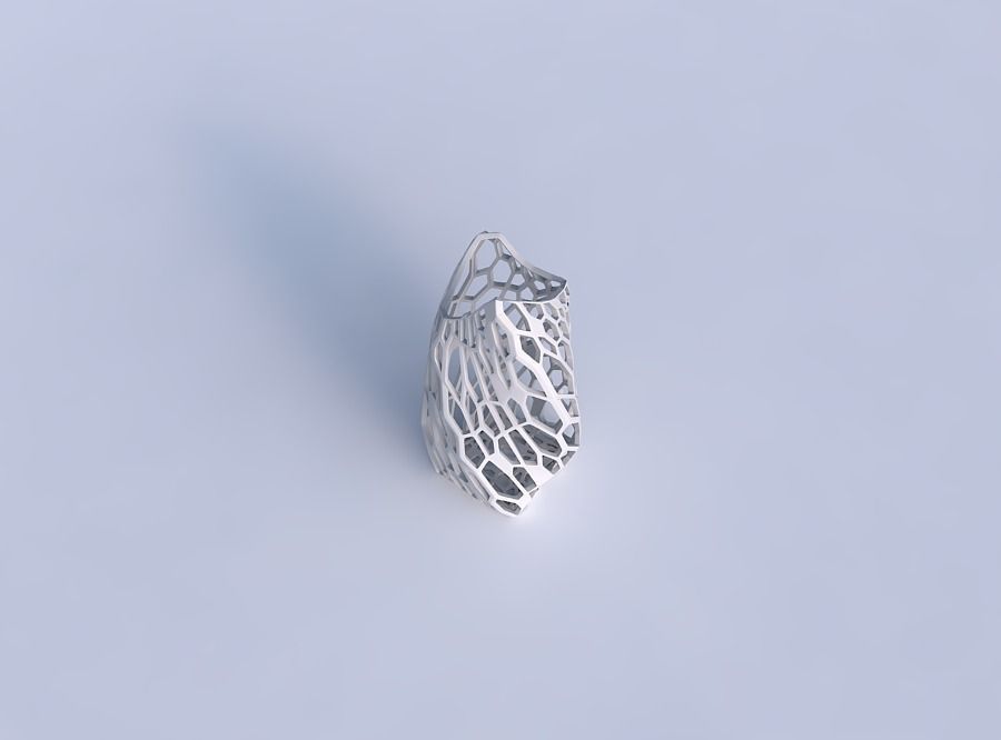 Vase twisted double arc quadratic with faceted organic lattice 3D print model_1