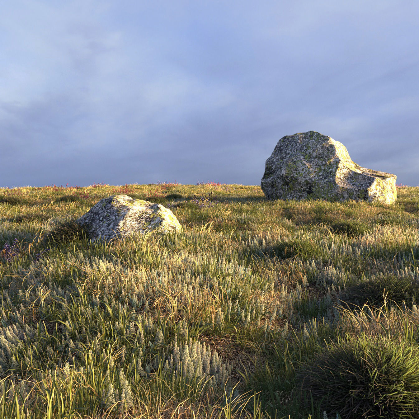 Field grass and corona scatter 3D model_2