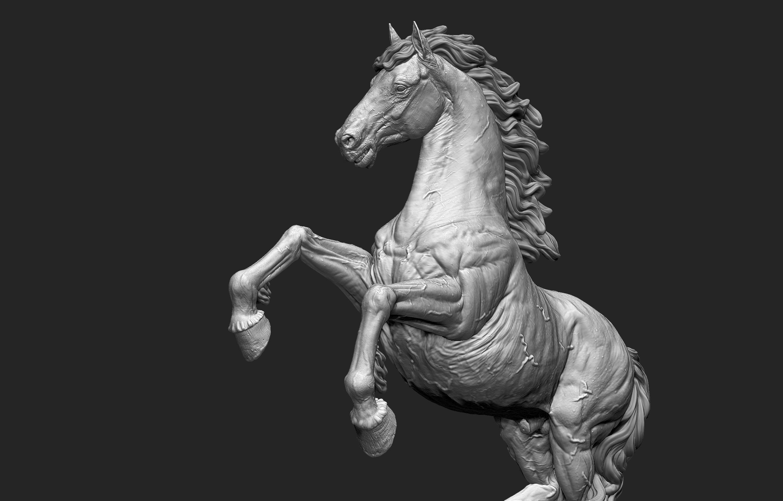 Horse print ready Stand Pose 3D print model_13