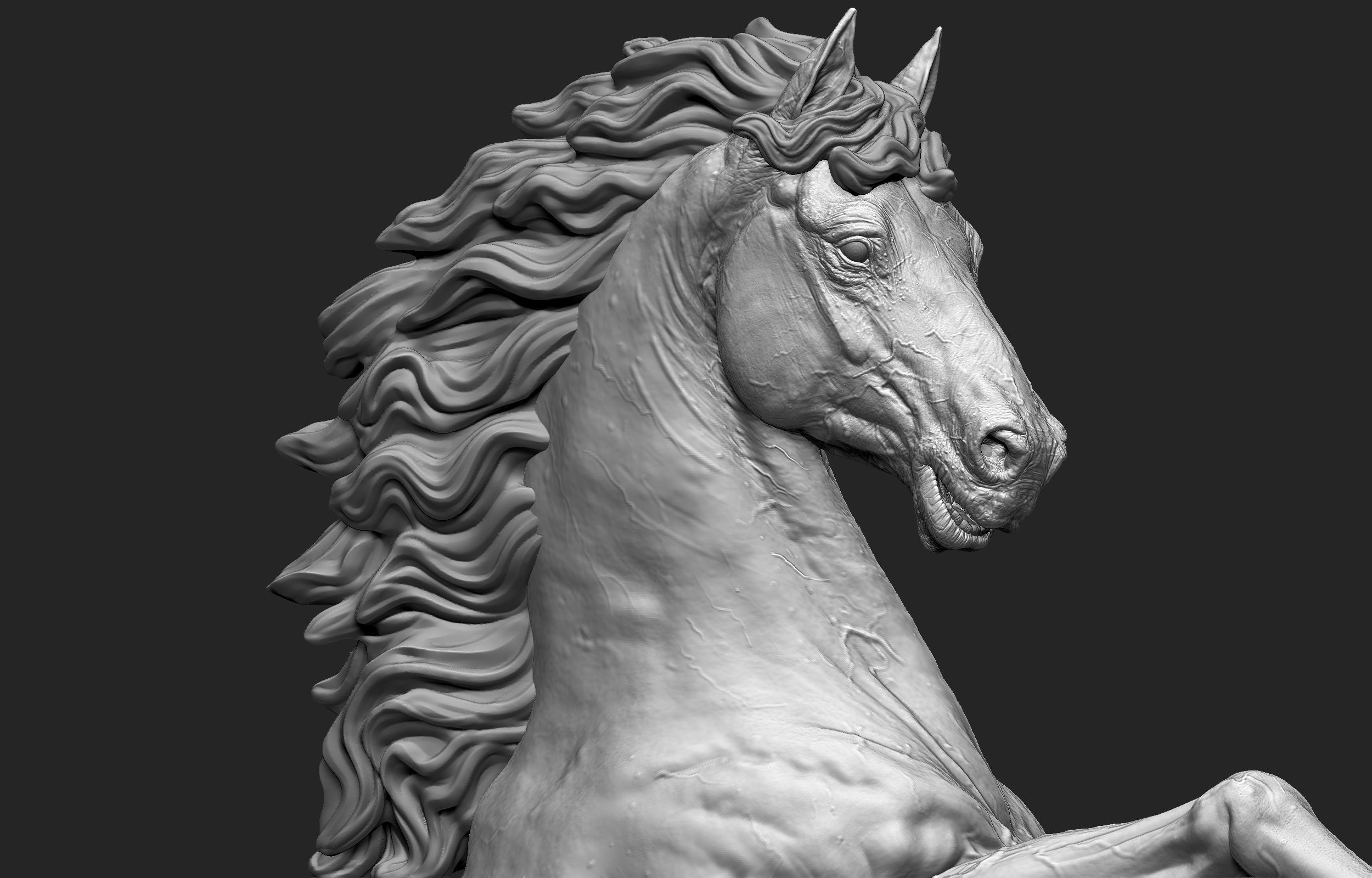 Horse print ready Stand Pose 3D print model_10