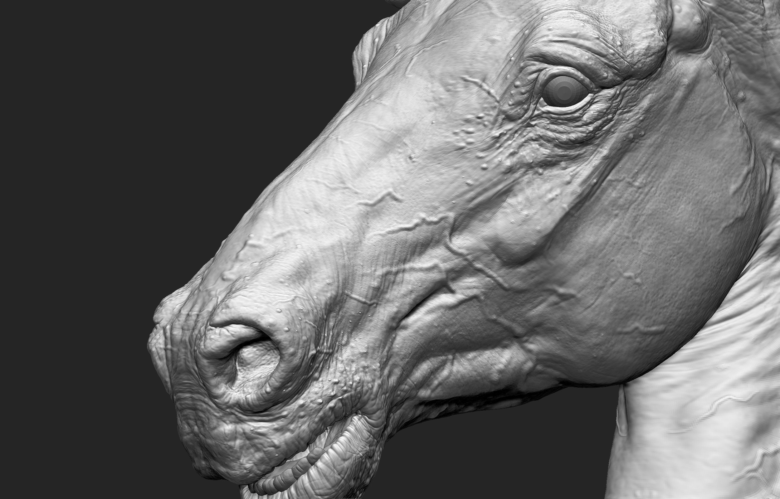 Horse print ready Stand Pose 3D print model_8