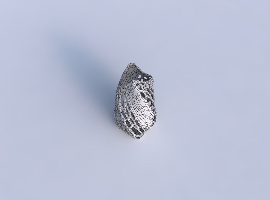 Vase twisted double arc quadratic with organic lattice with s... 3D print model_6