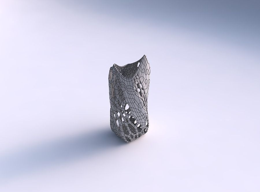 Vase twisted double arc quadratic with organic lattice with s... 3D print model_5