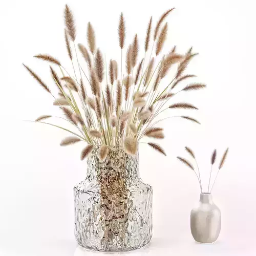 Dry flowers in glass vase 2