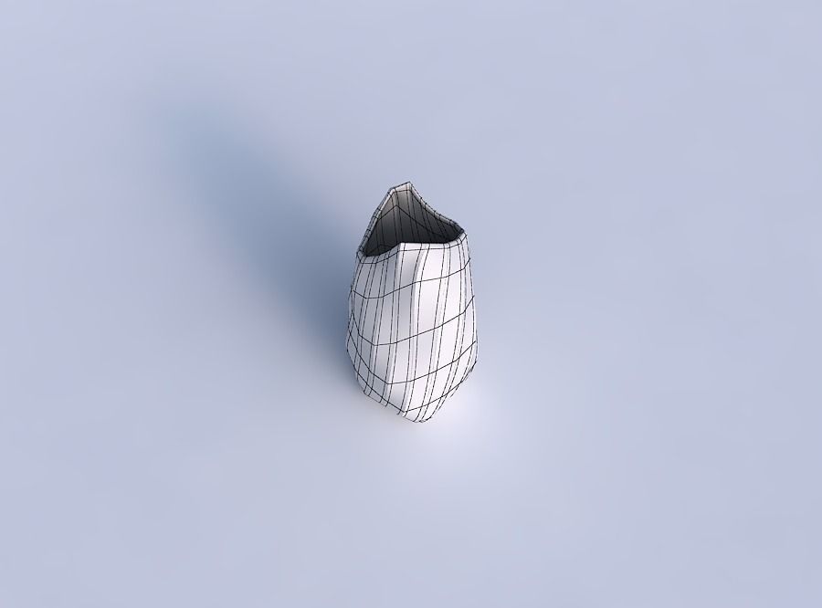 Vase twisted double arc quadratic with twisted bands 3D print model_6