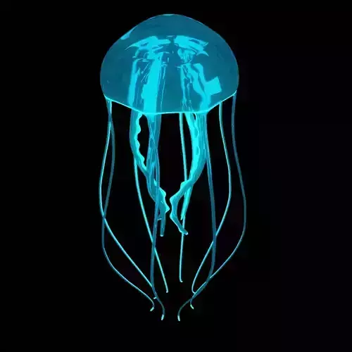 jellyfish glowing Low-poly 3D model