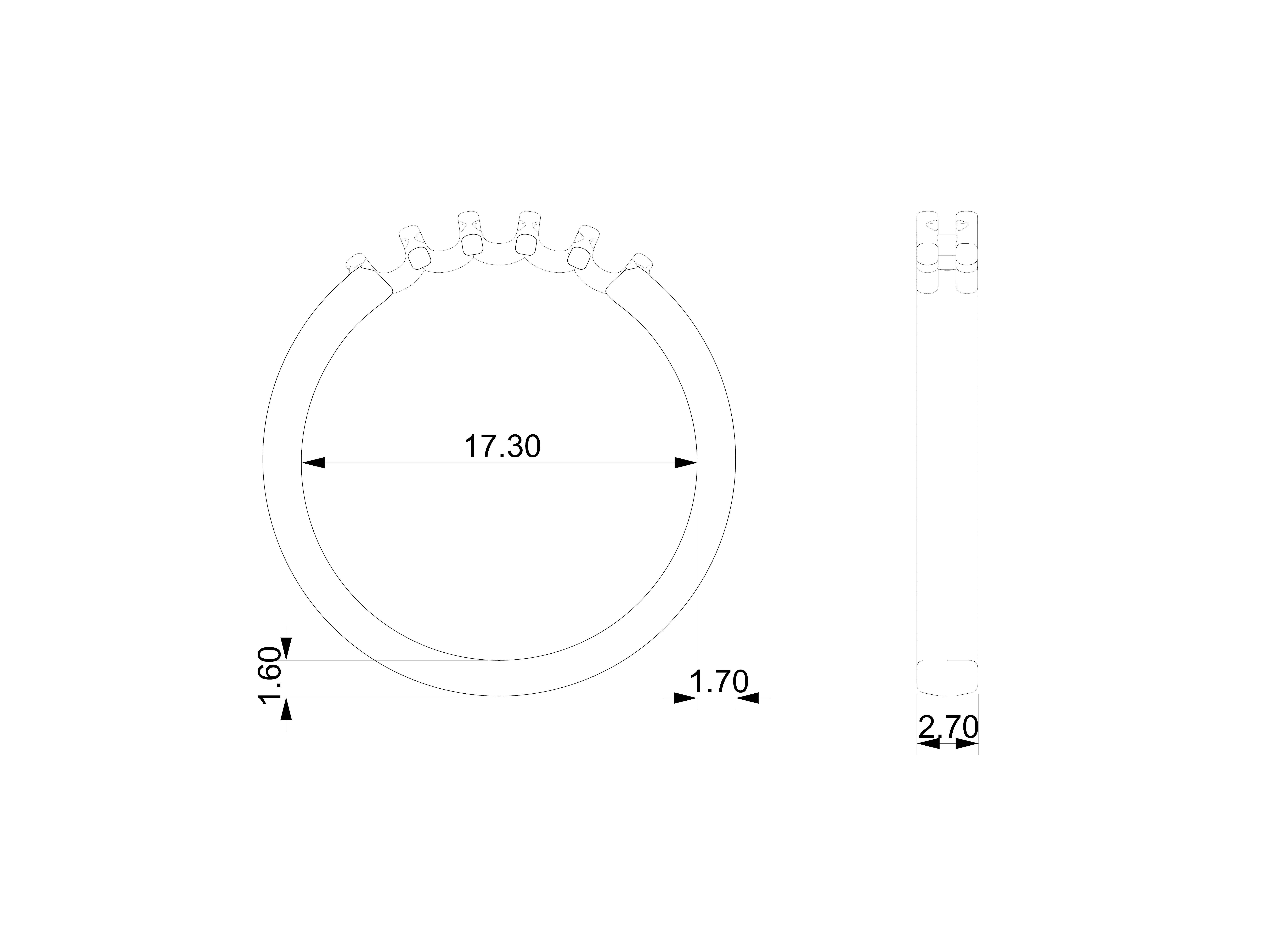 5 Diamond ring  Size 5-10  3D print model_6