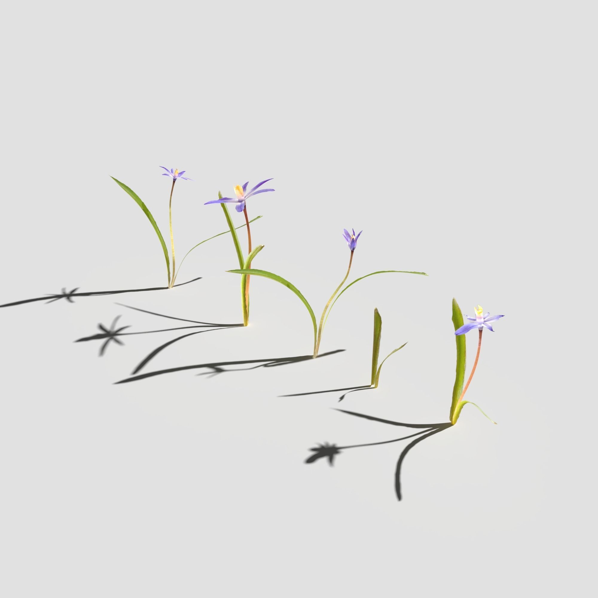 Glory of the Snow Pack Low-poly 3D model_8