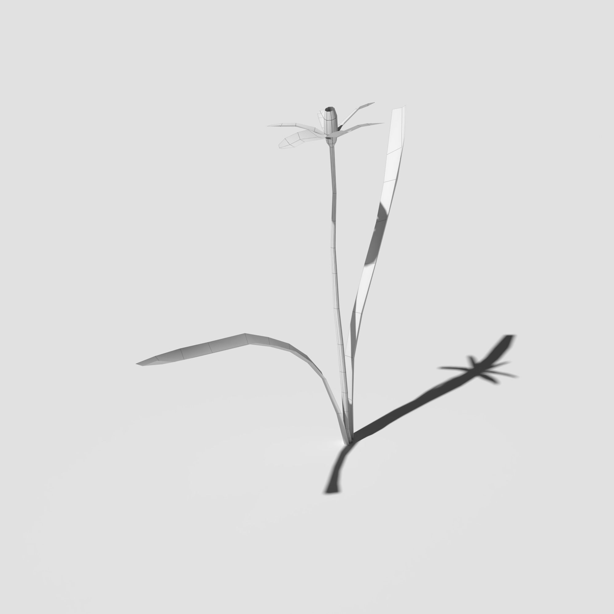 Glory of the Snow Pack Low-poly 3D model_13