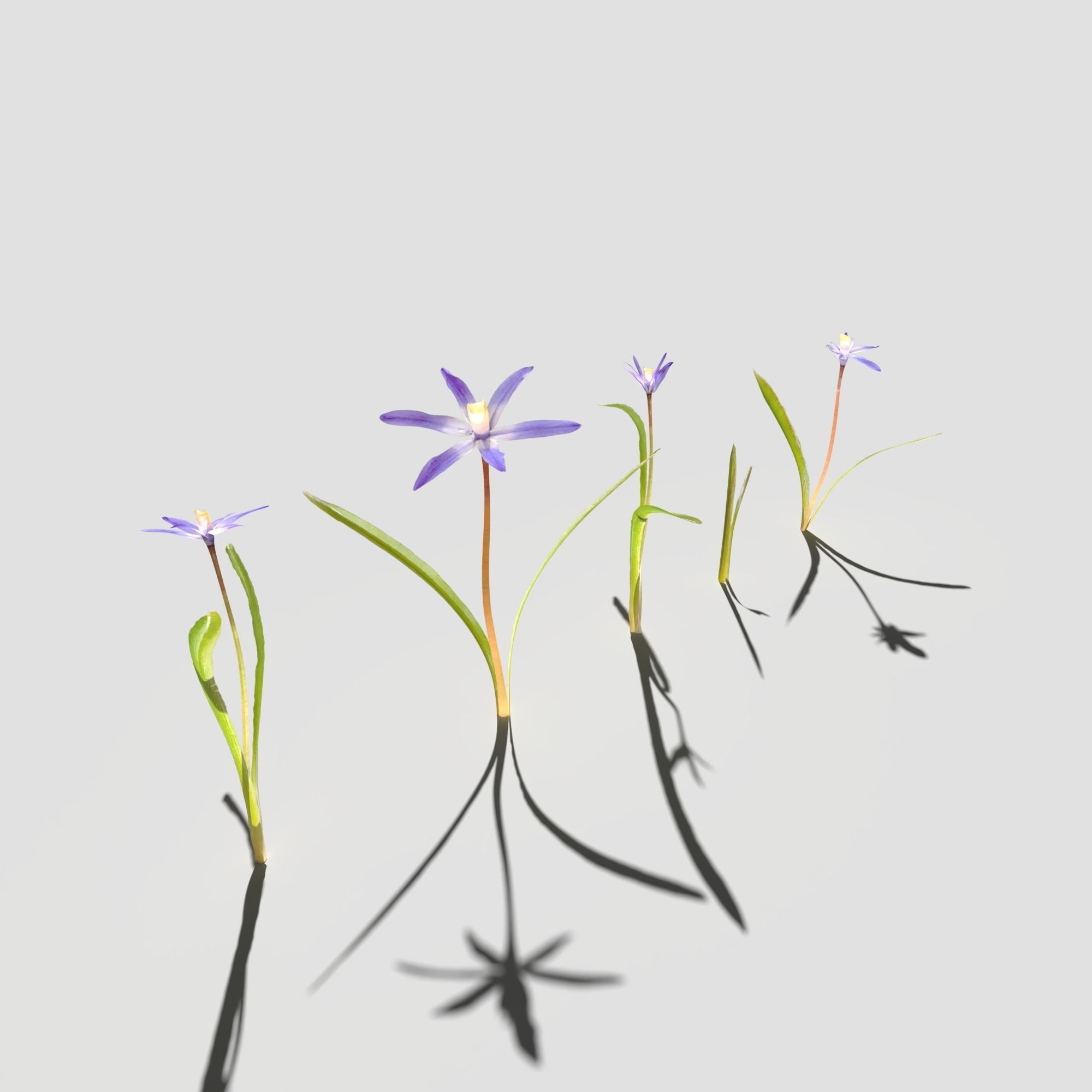 Glory of the Snow Pack Low-poly 3D model_6