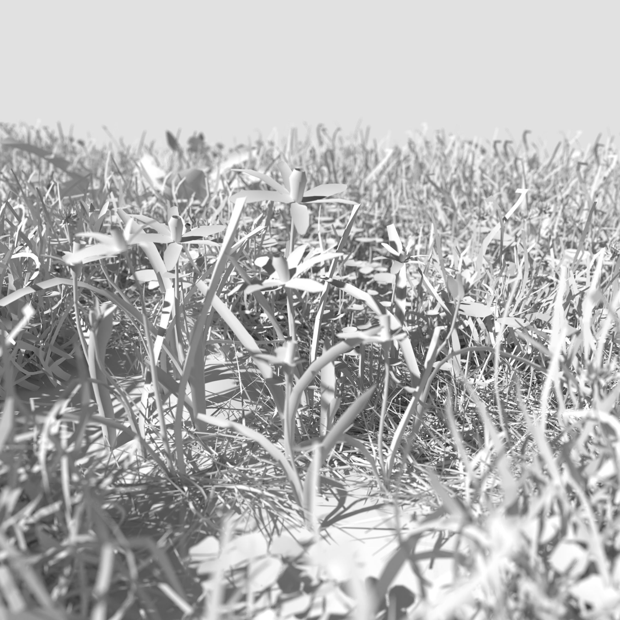 Glory of the Snow Pack Low-poly 3D model_1