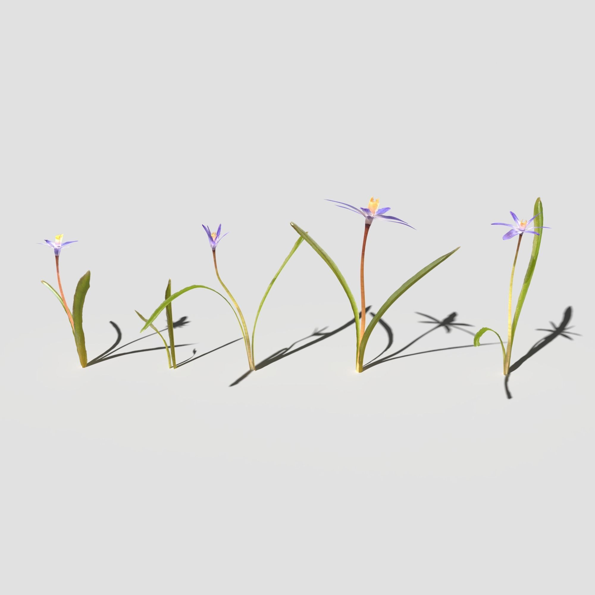 Glory of the Snow Pack Low-poly 3D model_3