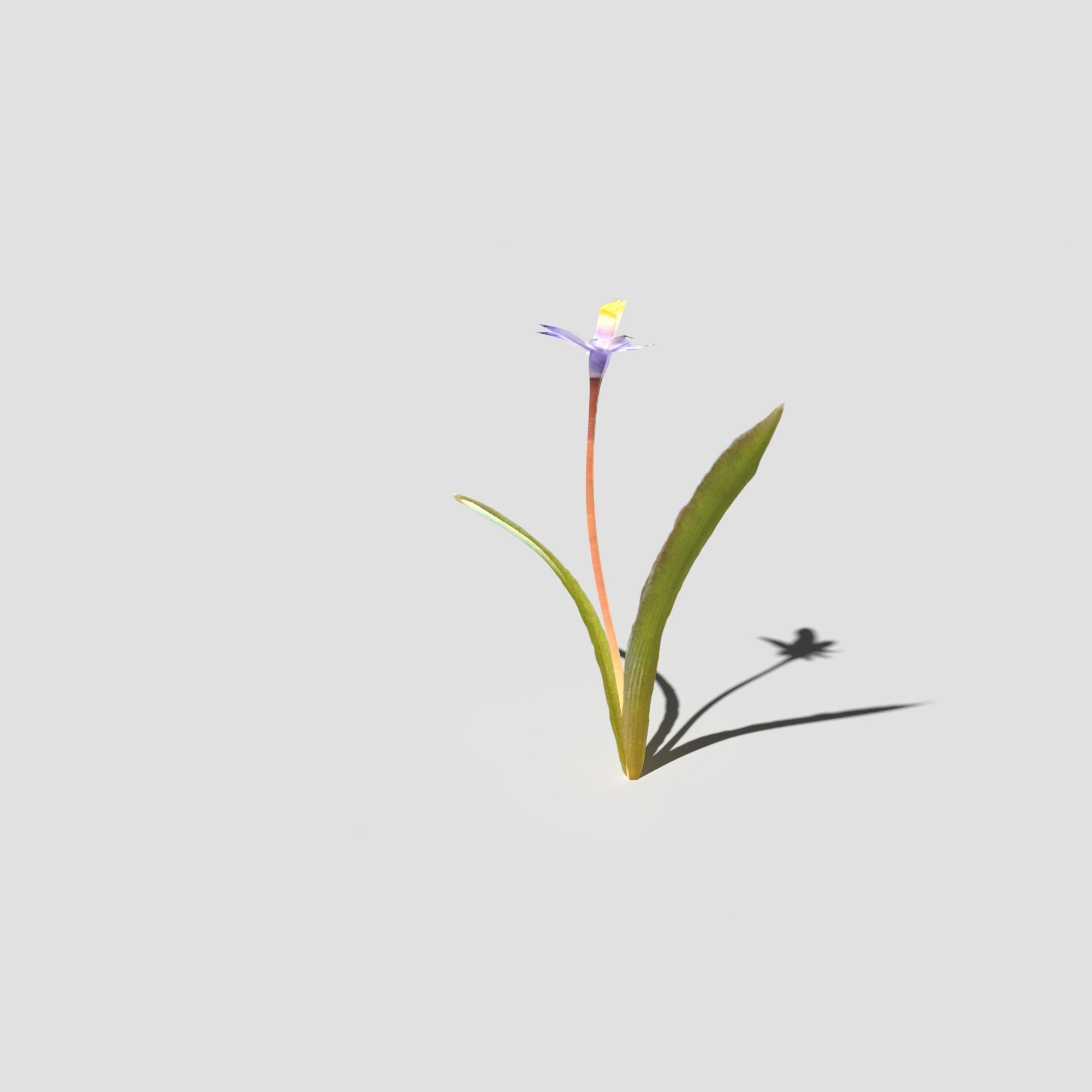 Glory of the Snow Pack Low-poly 3D model_20