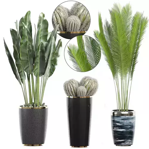 Flower Pack 71 3D model