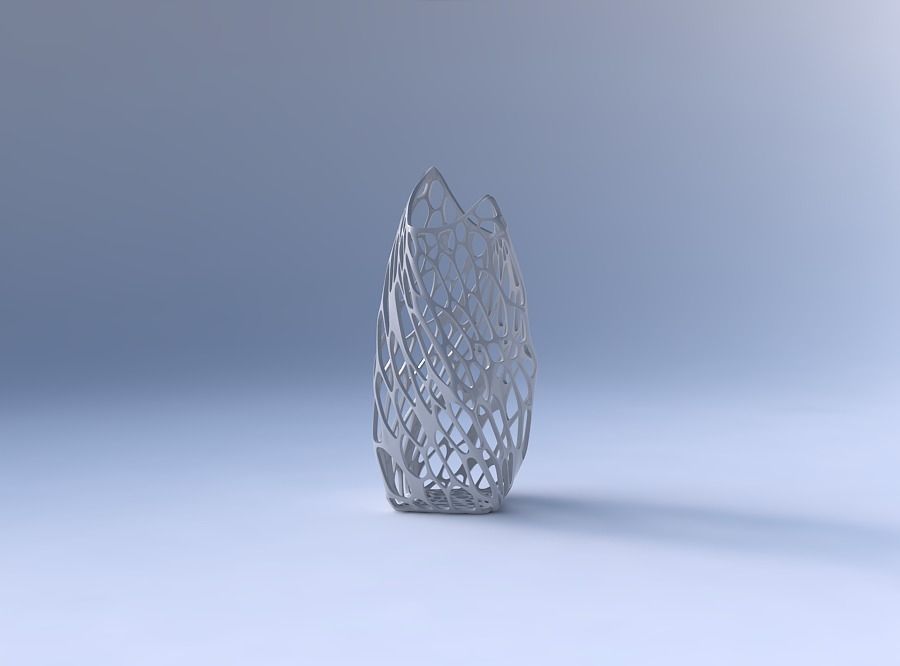 Vase twisted double arc quadratic with twisted organic lattice 3D print model_4