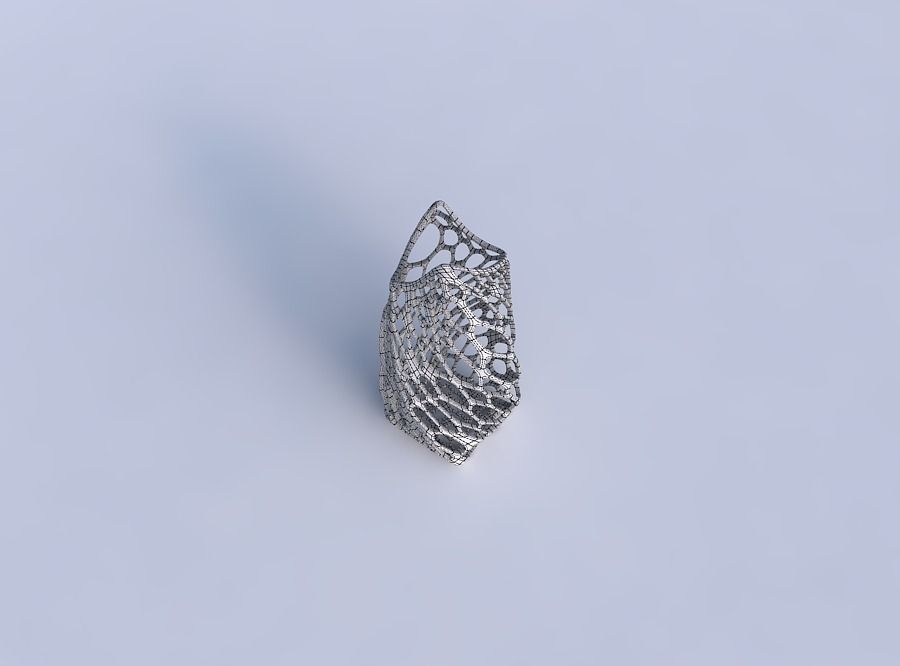 Vase twisted double arc quadratic with twisted organic lattice 3D print model_6