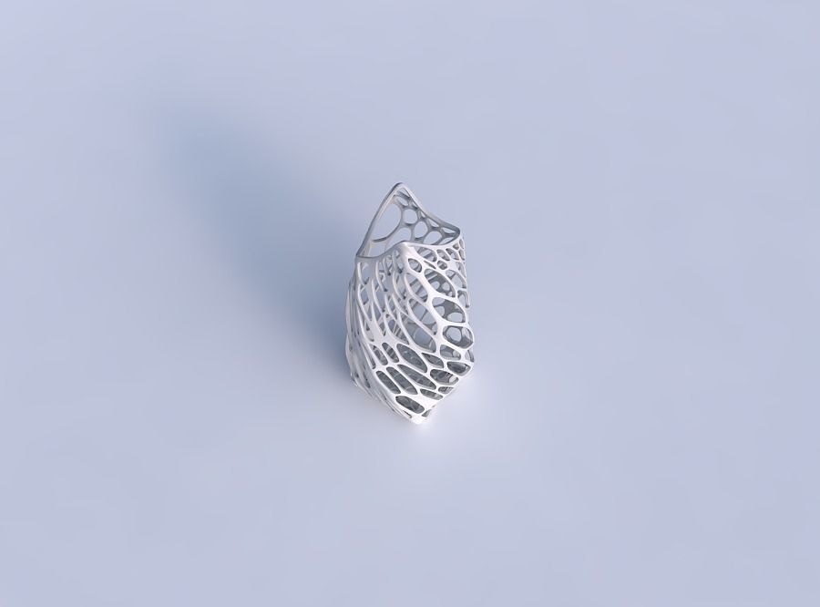 Vase twisted double arc quadratic with twisted organic lattice 3D print model_1