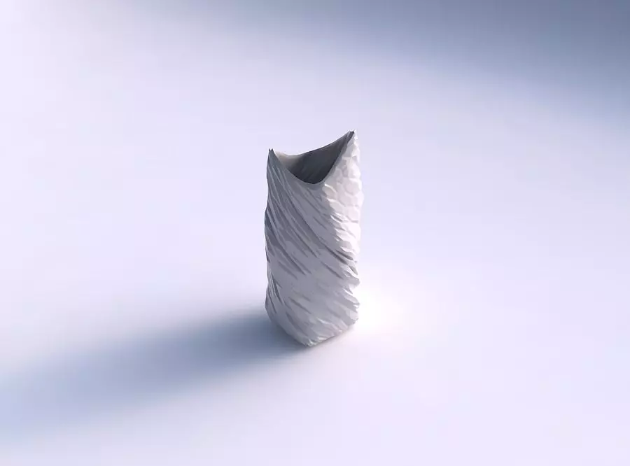 Vase twisted double arc quadratic with twisted rocky 3D print model