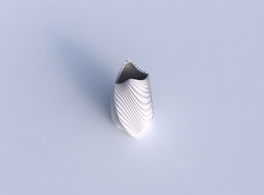 Vase twisted double arc quadratic with wavy extruded lines 3 3D print model_1