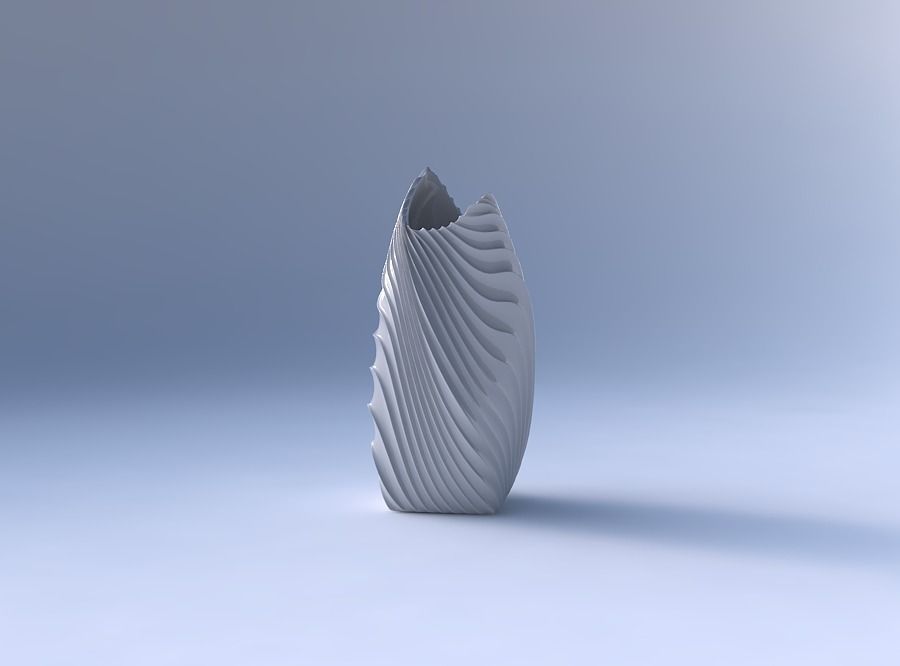 Vase twisted double arc quadratic with wavy extruded lines 3 3D print model_4
