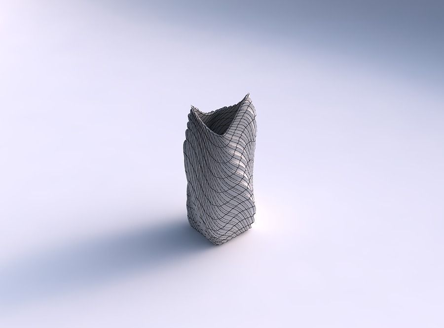 Vase twisted double arc quadratic with wavy extruded lines 3 3D print model_5