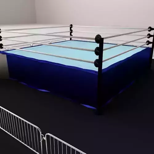 Wrestling Ring 3D model