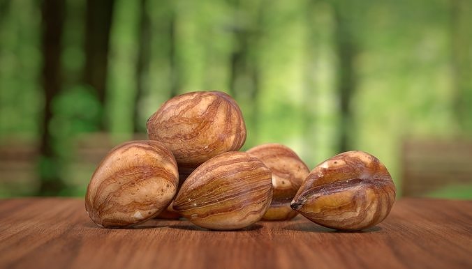 Hazelnut kernel Photoscan Low-poly 3D model 2