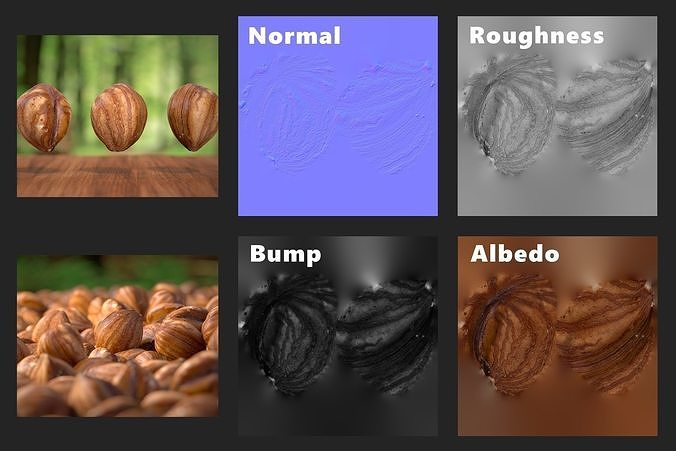 Hazelnut kernel Photoscan Low-poly 3D model 7