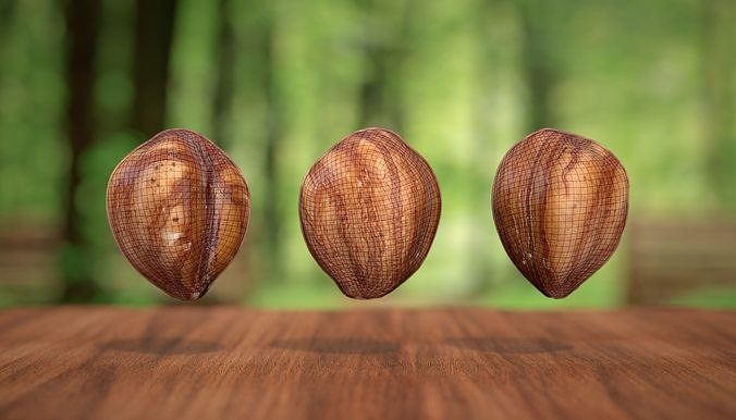 Hazelnut kernel Photoscan Low-poly 3D model 6