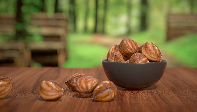 Hazelnut kernel Photoscan Low-poly 3D model 5